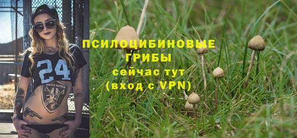 ешки Богданович