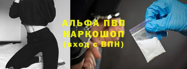 ешки Богданович