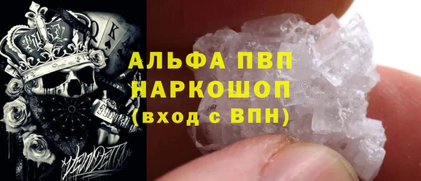 ешки Богданович
