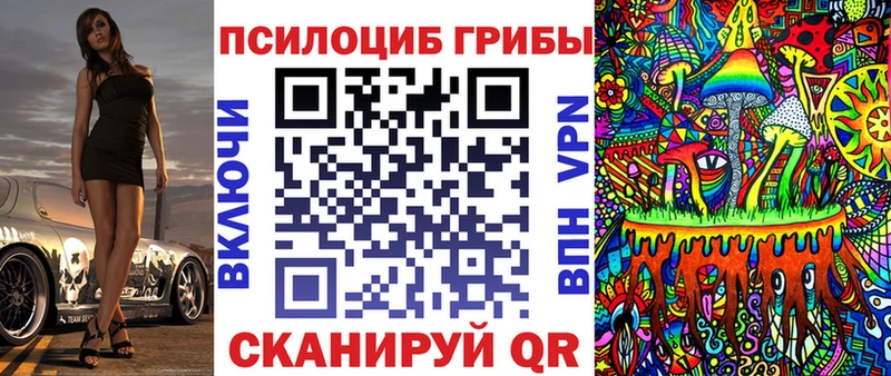 Псилоцибиновые грибы Cubensis  как найти закладки  Барыш 