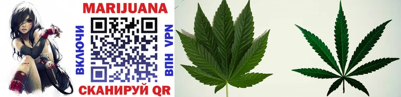 Шишки марихуана OG Kush Барыш
